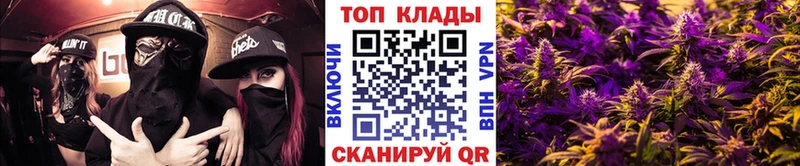 Где купить наркоту Опочка COCAIN  Галлюциногенные грибы  ГАШИШ  МЕТАМФЕТАМИН  Alpha PVP  Меф 