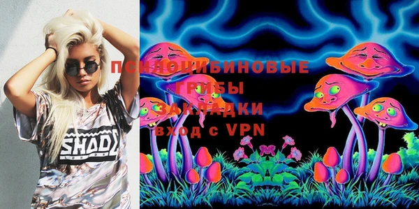 прущая мука Елабуга