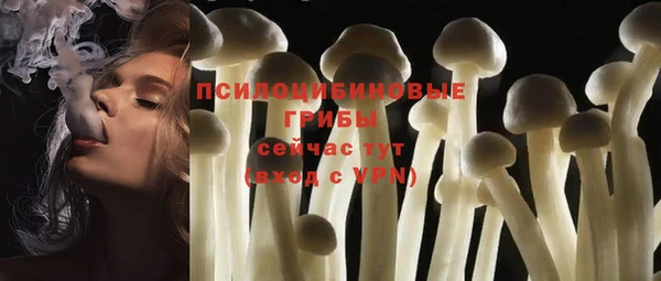 марки lsd Елизово