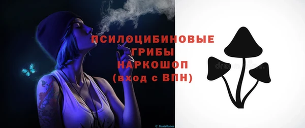 первитин Ельня