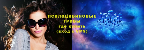 прущая мука Елабуга