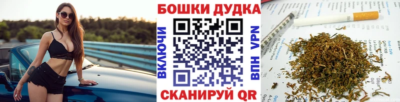 дарнет шоп  Опочка  Конопля марихуана 